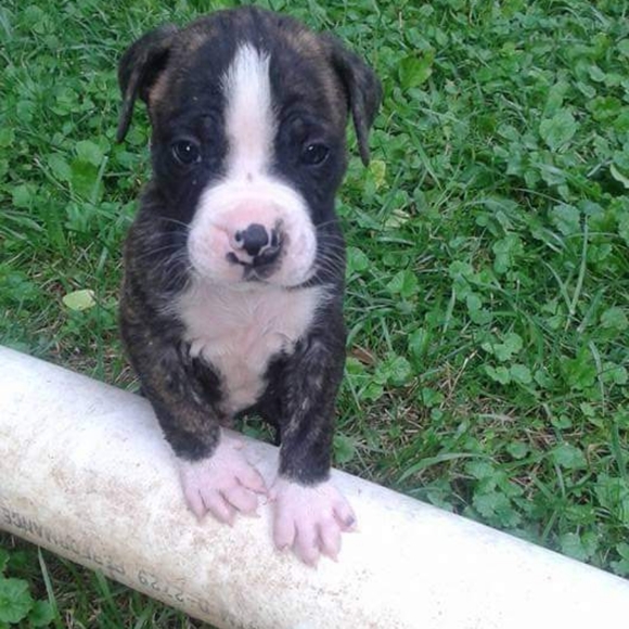 Meet your Posher, Kristine - Picture 2 of 3